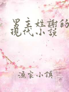 男主姓谢的总裁现代小说