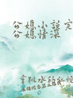 公媳小说完结版公媳情深