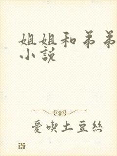 姐姐和弟弟爱爱小说