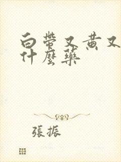 白带又黄又臭用什么药