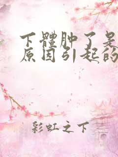 下体肿了是什么原因引起的