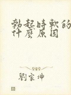 勃起时软的快是什么原因