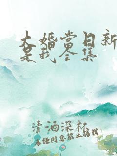 大婚当日新娘不是我全集
