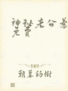 神秘老公惹不得免费