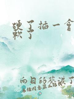 硬了插一会儿就软了