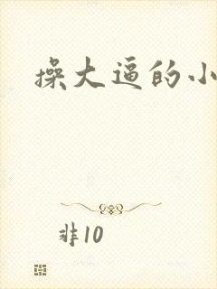 操大逼的小说