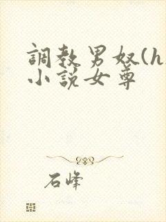 调教男奴(h)小说女尊