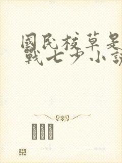 国民校草是女生 战七少小说