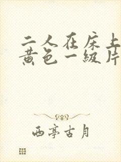 二人在床上性干黄色一级片