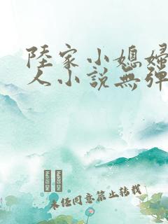 陆家小媳妇笑佳人小说无弹窗