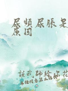 尿频尿胀是什么原因