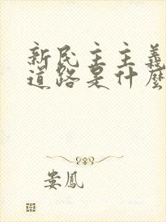 新民主主义革命道路是什么道路