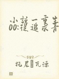 小说一重生2000:从追求青涩校花同桌开始