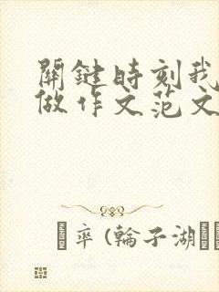 关键时刻我这样做作文范文