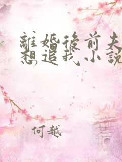 离婚后前夫总是想追我小说完整版