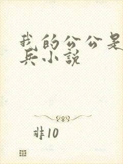 我的公公是特种兵小说