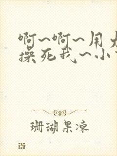 啊~啊~用力~操死我~小说