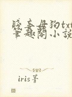 贱妾母狗txt笔趣阁小说