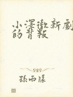 小泽彻新剧妻子的背叛