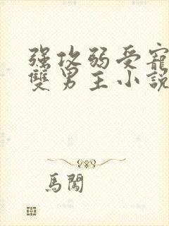 强攻弱受宠溺的双男主小说