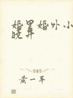 婚里婚外小说叶晓井