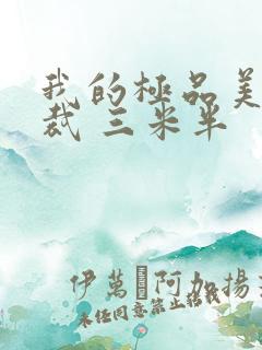 我的极品美女总裁 三米半