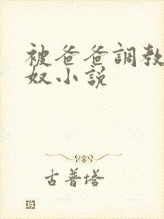 被爸爸调教成私奴小说