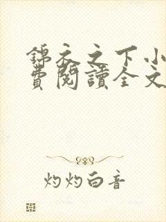 锦衣之下小说免费阅读全文无删减