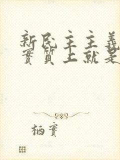 新民主主义革命实质上就是党领导下的