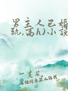 男主人已婚(出轨,高h)小说