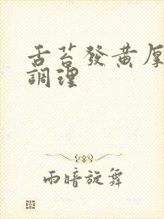 舌苔发黄厚腻的调理