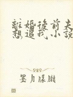 离婚后前夫总是想追我小说免费听书