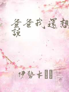 爸爸我还想要小说