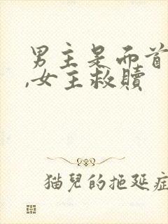 男主是面首不洁,女主救赎