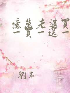 亿万老婆买一送一买一送一