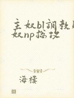 主奴bl调教贱奴np总攻