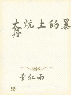 大炕上的暴伦小丹