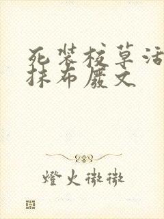 死装校草活该被抹布废文
