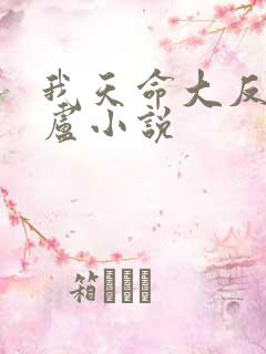 我天命大反派飞卢小说