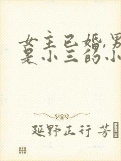 女主已婚,男主是小三的小说