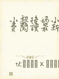 小黎后妈小说免费阅读最新章节更新