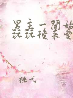 男主一开始只是玩玩后来爱上女主的小说