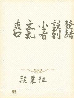 爽文小说发疯一口气看到结局