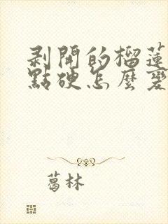 剥开的榴莲肉有点硬怎么变软