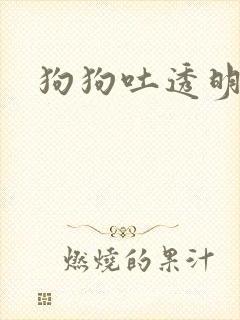 狗狗吐透明粘液