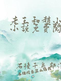 老王和赵小丽的小说免费阅读