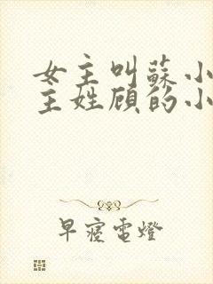 女主叫苏小小男主姓顾的小说