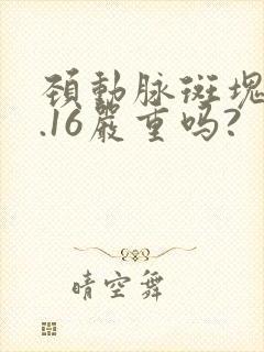 颈动脉斑块厚0.16严重吗?