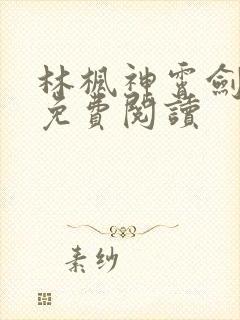 林枫神霄剑小说免费阅读