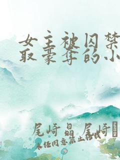 女主被囚禁被强取豪夺的小说